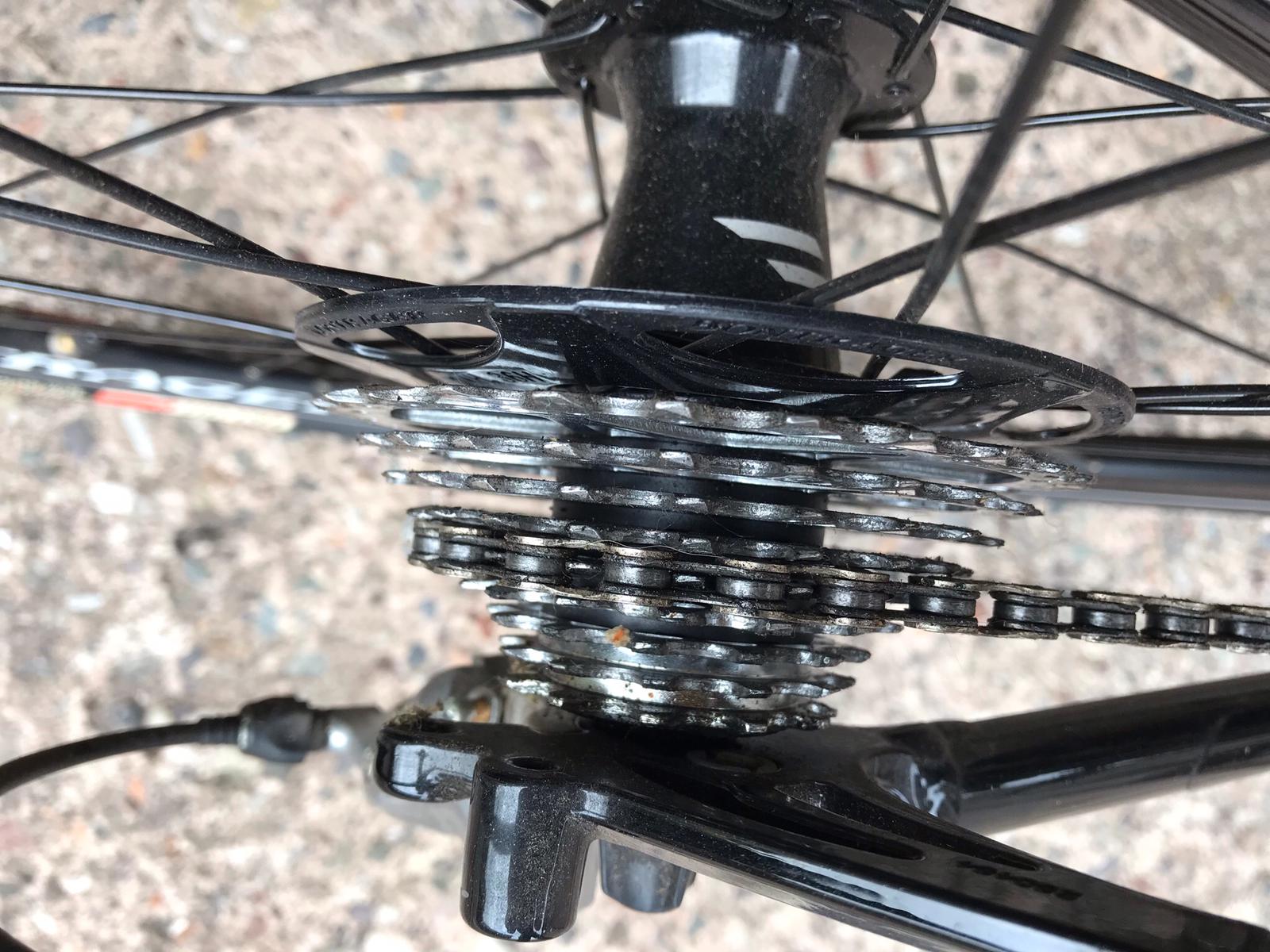 Gallery The Bicycle Mechanic, Cupar, Fife, 07414 533380